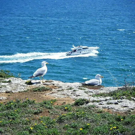 فيلة Casa De Alporchinhos Armação de Pêra